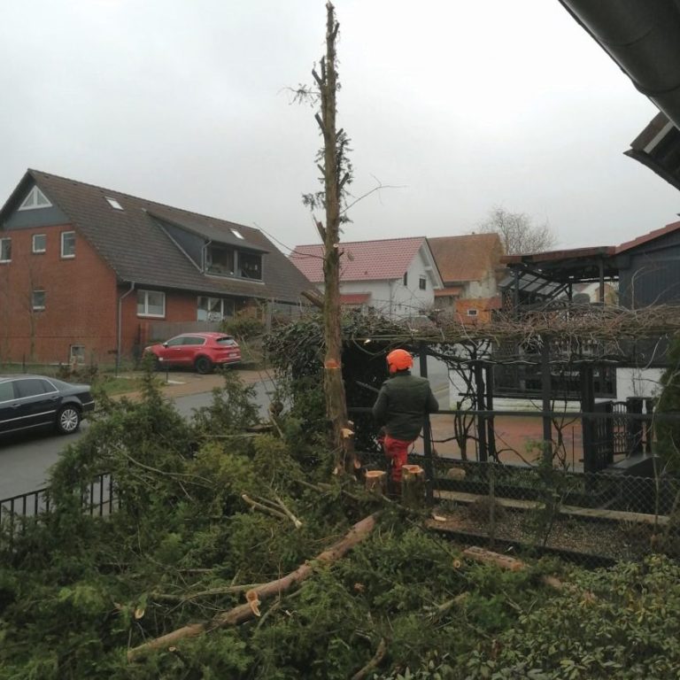 Über Gärtner Ingolf Marx aus Gehrden in der Region Hannover